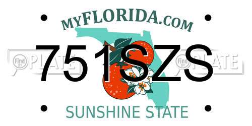 751SZS Florida License Plate