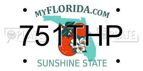 751THP Florida License Plate