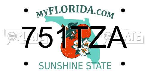 751TZA Florida License Plate