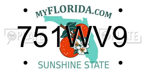 751WV9 Florida License Plate