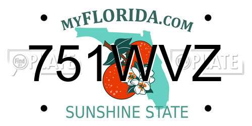 751WVZ Florida License Plate