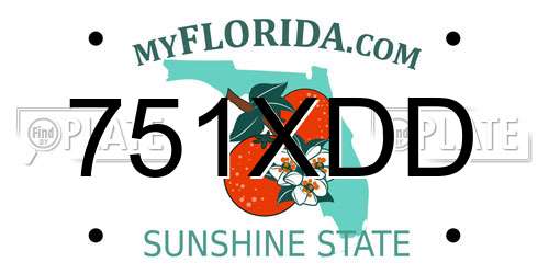 751XDD Florida License Plate