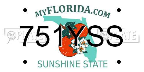 751YSS Florida License Plate