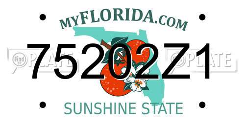 75202Z1 Florida License Plate