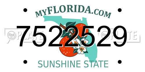 7522529 Florida License Plate