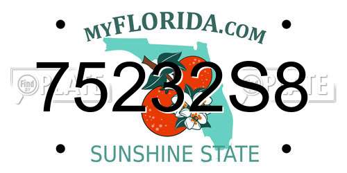 75232S8 Florida License Plate