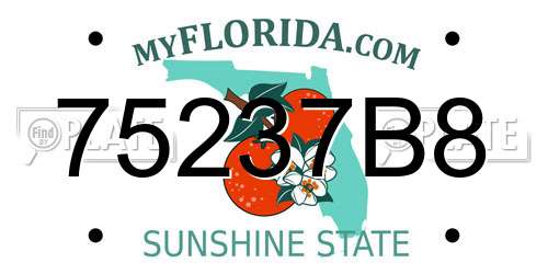 75237B8 Florida License Plate
