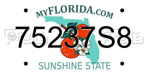 75237S8 Florida License Plate