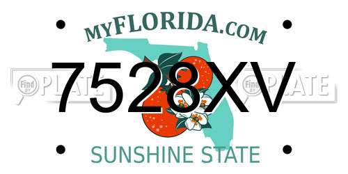 7528XV Florida License Plate
