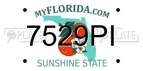 7529PI Florida License Plate
