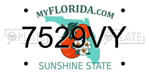 7529VY Florida License Plate