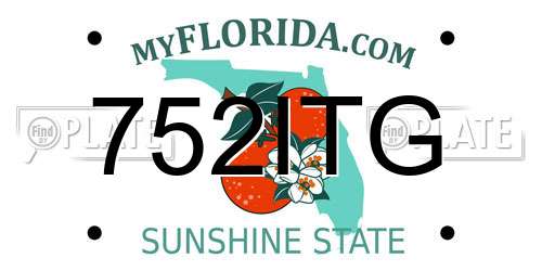 752ITG Florida License Plate