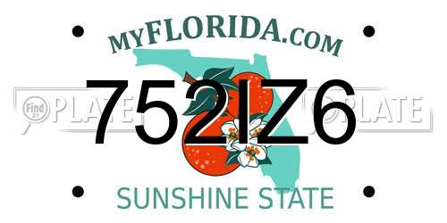 752IZ6 Florida License Plate