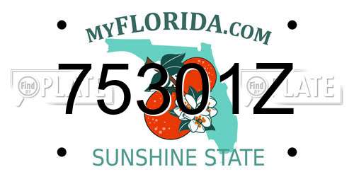 75301Z Florida License Plate