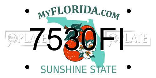 7530FI Florida License Plate