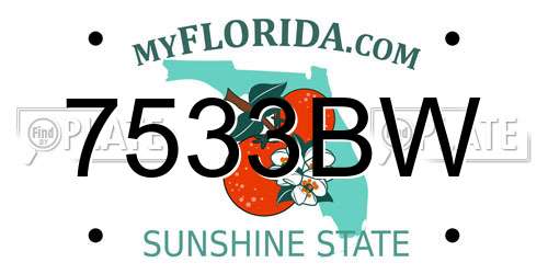 7533BW Florida License Plate