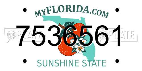 7536561 Florida License Plate