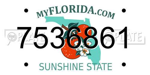 7536861 Florida License Plate