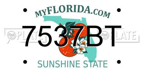 7537BT Florida License Plate