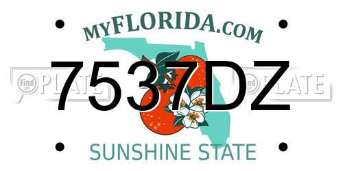 7537DZ Florida License Plate