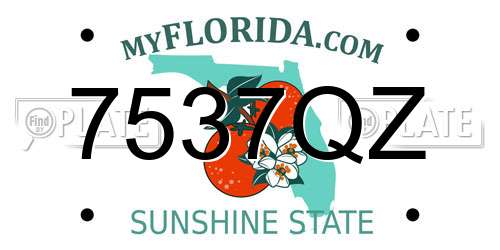 7537QZ Florida License Plate