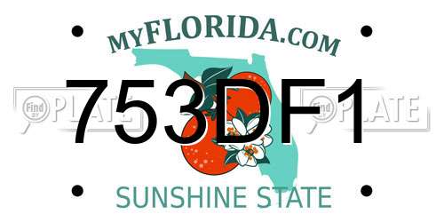 753DF1 Florida License Plate