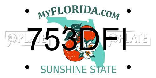 753DFI Florida License Plate