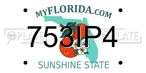 753IP4 Florida License Plate