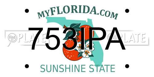 753IPA Florida License Plate