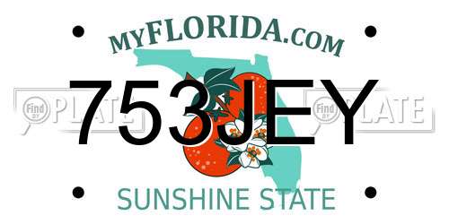 753JEY Florida License Plate