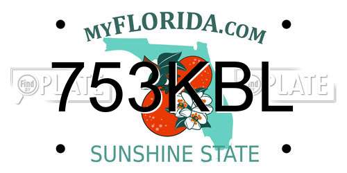 753KBL Florida License Plate
