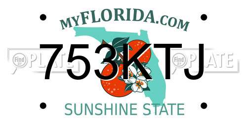 753KTJ Florida License Plate