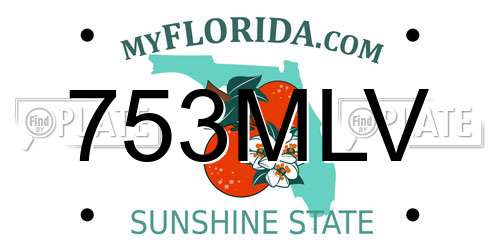 753MLV Florida License Plate