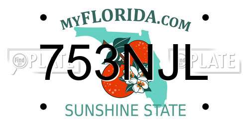 753NJL Florida License Plate