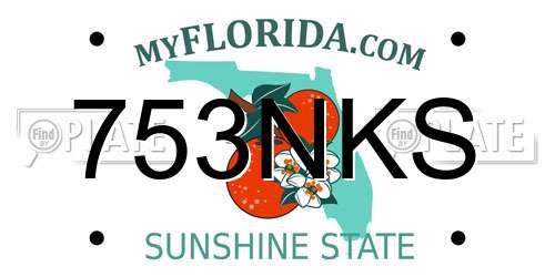 753NKS Florida License Plate