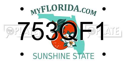 753QF1 Florida License Plate