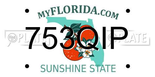 753QIP Florida License Plate