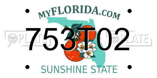 753T02 Florida License Plate