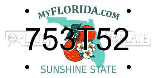 753T52 Florida License Plate