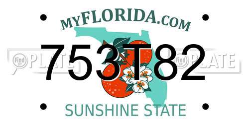 753T82 Florida License Plate