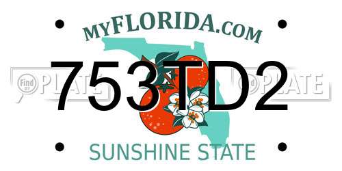 753TD2 Florida License Plate