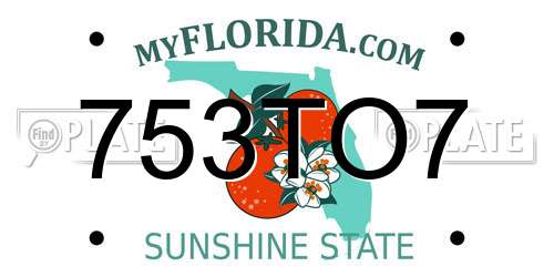 753TO7 Florida License Plate
