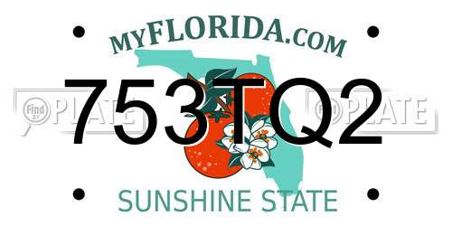 753TQ2 Florida License Plate