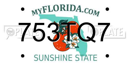 753TQ7 Florida License Plate