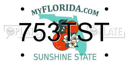 753TST Florida License Plate