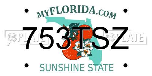 753TSZ Florida License Plate