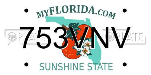 753VNV Florida License Plate