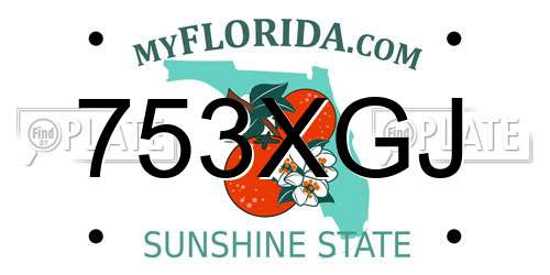 753XGJ Florida License Plate