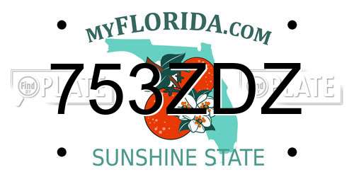 753ZDZ Florida License Plate