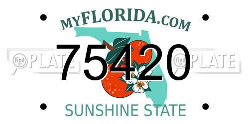 75420 Florida License Plate